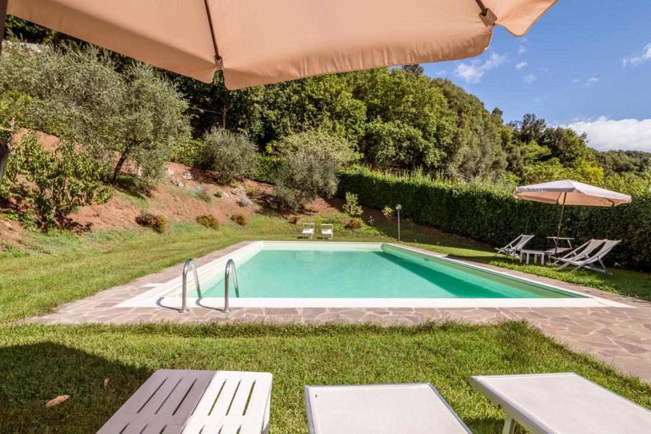 Al Giardino Degli Ulivi Pensionat Santa Maria Albiano Eksteriør billede