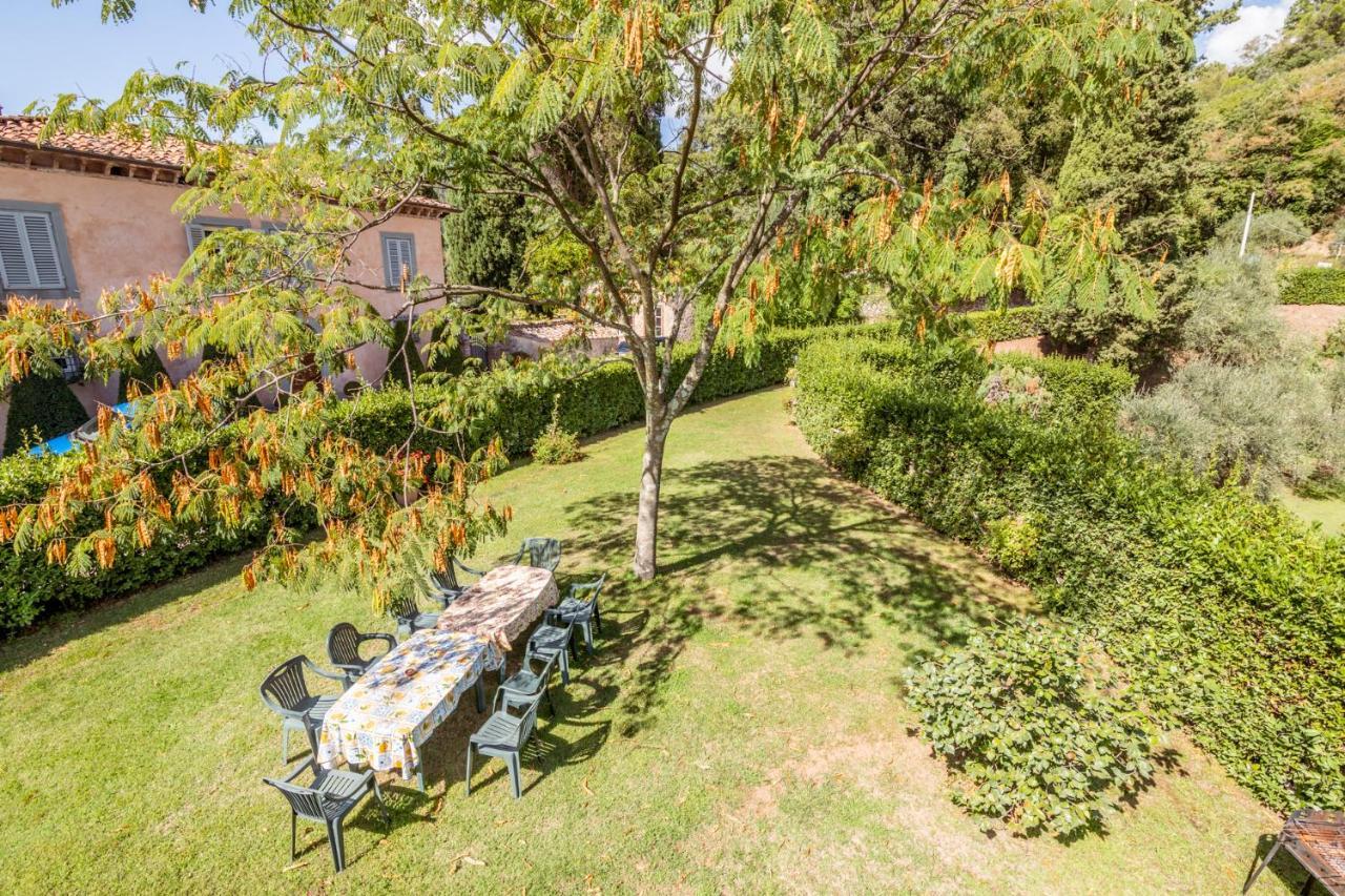 Al Giardino Degli Ulivi Pensionat Santa Maria Albiano Eksteriør billede